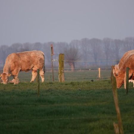B&B Bij Bronckhorst Steenderen 외부 사진