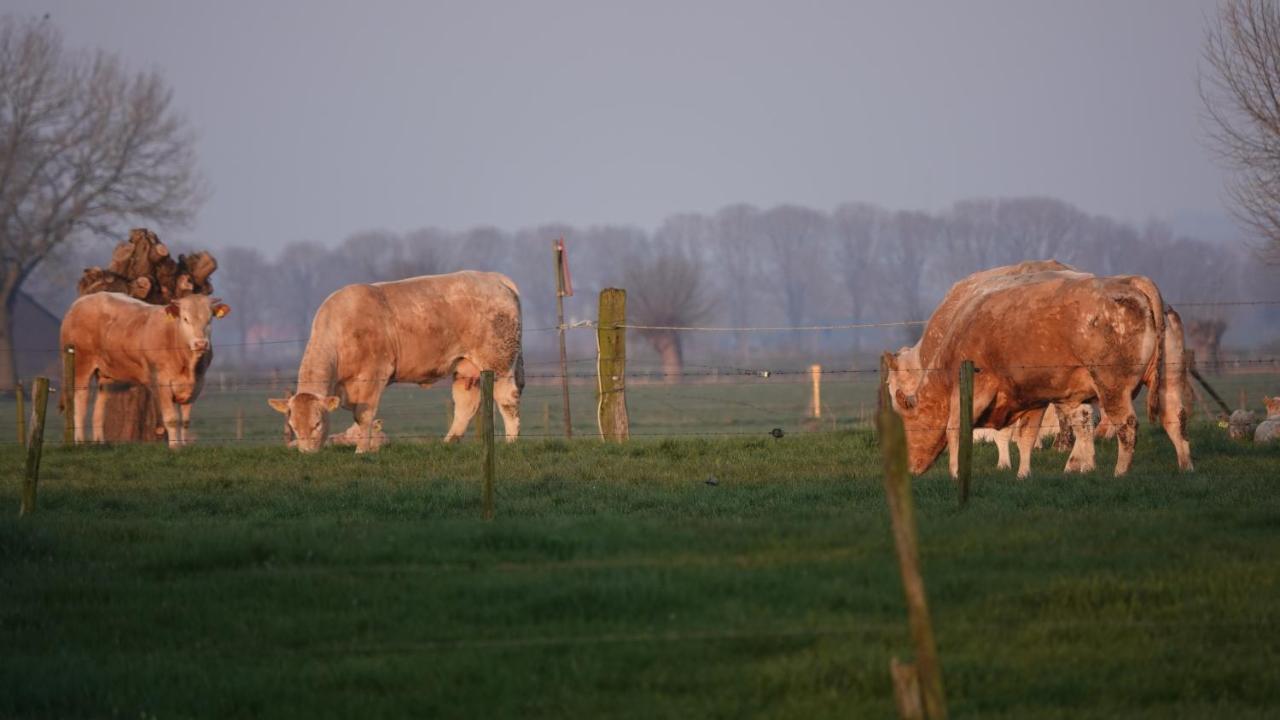 B&B Bij Bronckhorst Steenderen 외부 사진